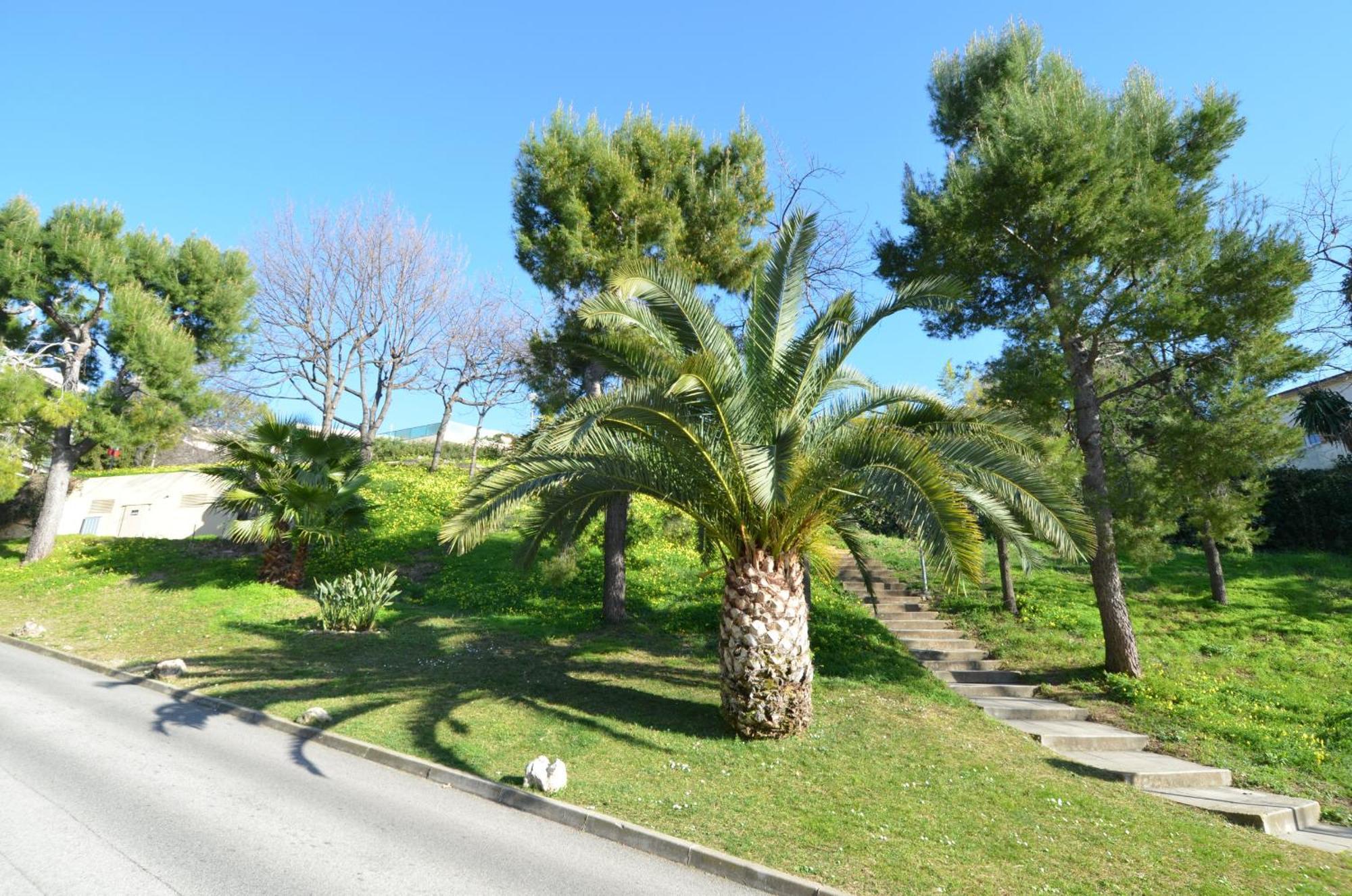 Plein Ciel - Appartement 5 Personnes Avec Piscine Sur La Corniche Fleurie A Nizza Exterior foto